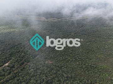 Finca de 1000 has. en venta en El Galpón, Provincia de Salta, Sobre RN 16