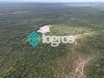 Finca de 1000 has. en venta en El Galpón, Provincia de Salta, Sobre RN 16