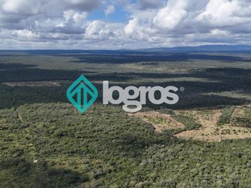 Finca de 1000 has. en venta en El Galpón, Provincia de Salta, Sobre RN 16