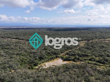 Finca de 1000 has. en venta en El Galpón, Provincia de Salta, Sobre RN 16