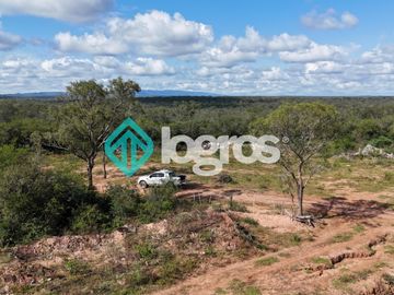 Finca de 1000 has. en venta en El Galpón, Provincia de Salta, Sobre RN 16