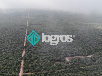 Finca de 1000 has. en venta en El Galpón, Provincia de Salta, Sobre RN 16