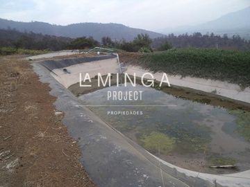 Parcela en Venta en Sector Cholqui