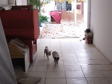 Casa en Venta en lazo con manuela errazuriz