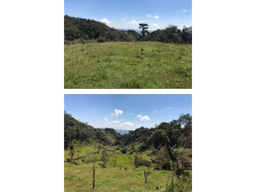 SE VENDE LOTE EN GRANADA ANTIOQUIA