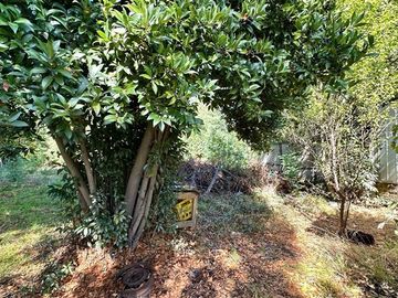 Casa en Venta en Patricio Lynch - Ramón Freire