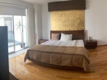 Departamento en Renta en Lamartine Polanco en