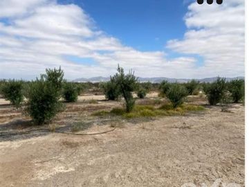 Sitio en Venta en EL ALTO DE LA PIA Lote 1 Kilometro 25 TOTORAL
