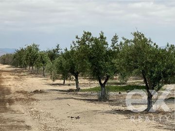 Agrícola en Venta en EL ALTO DE LA PIA Lote 1 Kilometro 25 TOTORAL