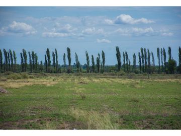 Terreno En Venta San Rafael Mendoza