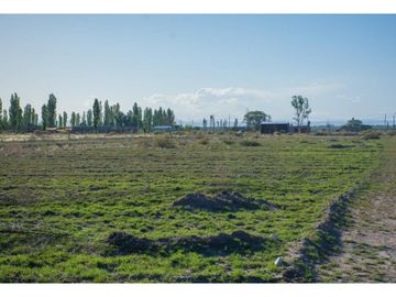 Terreno En Venta San Rafael Mendoza