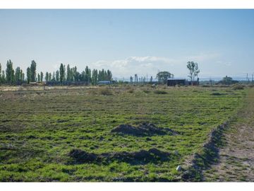 Terreno En Venta San Rafael Mendoza