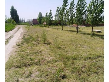 Terreno En Venta San Rafael Mendoza