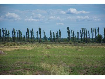 Terreno En Venta San Rafael Mendoza
