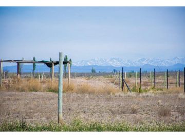 Terreno En Venta San Rafael