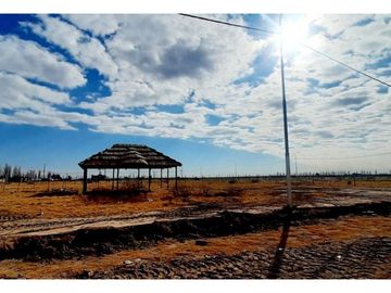 Terreno En Venta San Rafael Mendoza.