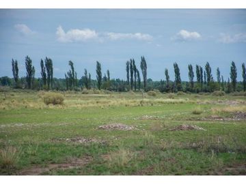 Terreno 2.000 Metros En Venta San Rafael