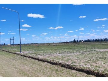 Lote 2.000 M En Venta San Rafael Mendoza