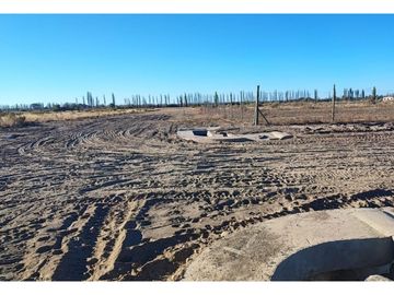 Terreno En Venta San Rafael Mendoza