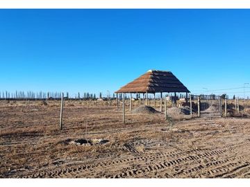 Terreno En Venta San Rafael Mendoza