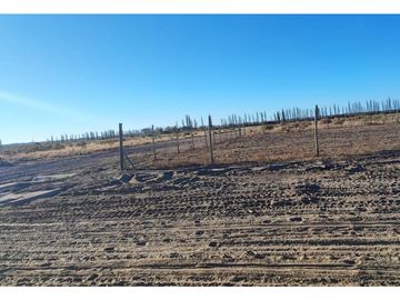 Terreno En Venta San Rafael Mendoza
