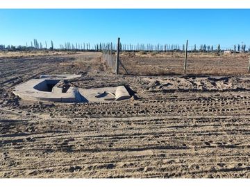 Terreno En Venta San Rafael Mendoza