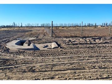 Terreno En Venta San Rafael Mendoza