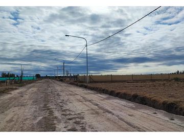 Terreno San Rafael Mendoza - Venta