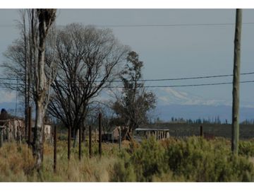 Terreno San Rafael Mendoza - Venta