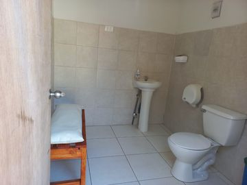 Vendo campo con paltos en producción y centro recreacional