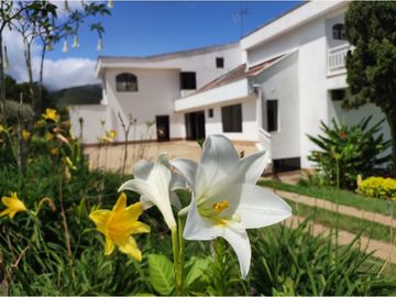 Finca en venta en condominio campestre - Lago Calima El Darién Valle