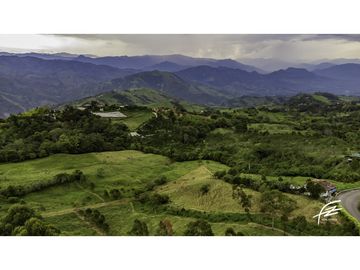 FINCA EN VENTA EN FREDONIA,ANTIOQUIA