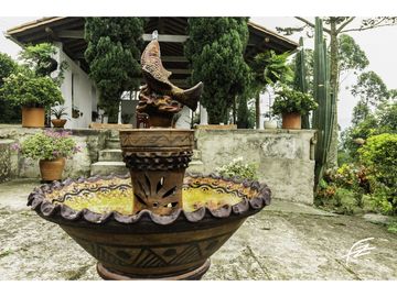 FINCA EN VENTA EN FREDONIA,ANTIOQUIA