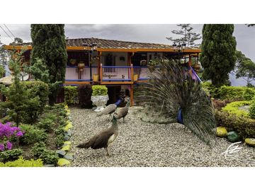 FINCA EN VENTA EN FREDONIA,ANTIOQUIA