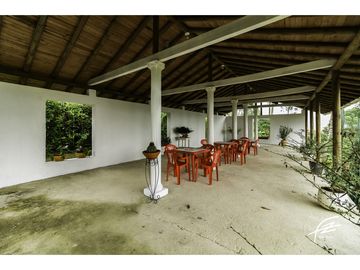 FINCA EN VENTA EN FREDONIA,ANTIOQUIA