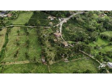 FINCA EN VENTA EN FREDONIA,ANTIOQUIA