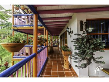 FINCA EN VENTA EN FREDONIA,ANTIOQUIA