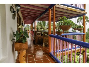 FINCA EN VENTA EN FREDONIA,ANTIOQUIA