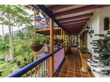 FINCA EN VENTA EN FREDONIA,ANTIOQUIA