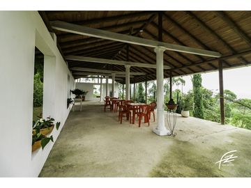 FINCA EN VENTA EN FREDONIA,ANTIOQUIA