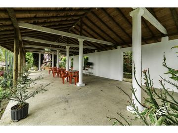 FINCA EN VENTA EN FREDONIA,ANTIOQUIA