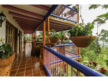 FINCA EN VENTA EN FREDONIA,ANTIOQUIA
