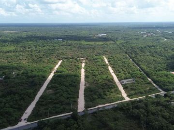 Terreno en Venta en Motul Norte, Motul