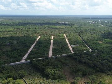 Terreno en Venta en Motul Norte, Motul