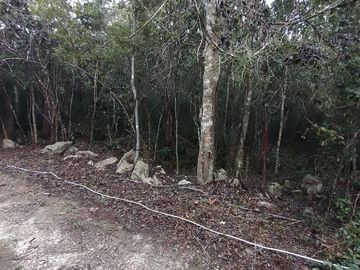 Terreno en Venta en Tulum, Quintana Roo.