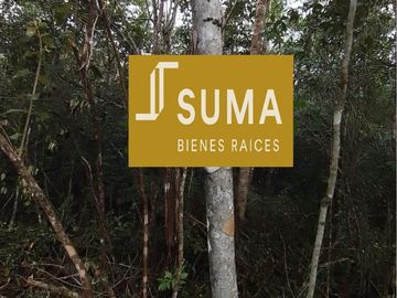 Terreno en Venta en Tulum, Quintana Roo.
