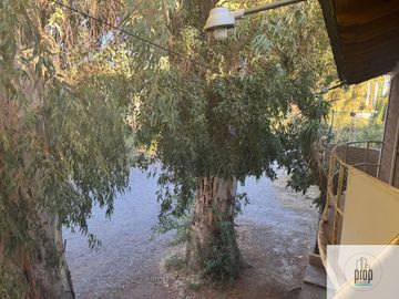 Departamento en venta de 9 dormitorios c/ cochera en Plottier