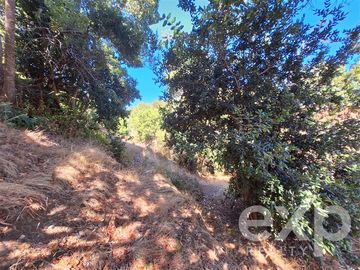 Sitio en Venta en Vende sitio 5000 m2 casa 56 m2 Pichilemu