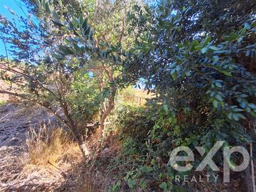 Terreno Construccion en Venta en Vende sitio 5000 m2 casa 56 m2 Pichilemu