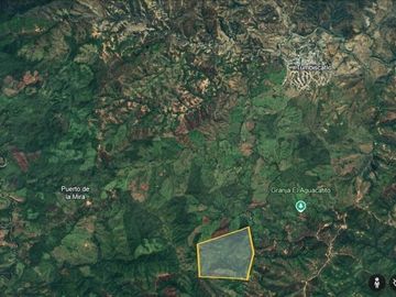 Rancho en Venta 150 hectáreas, Michoacan